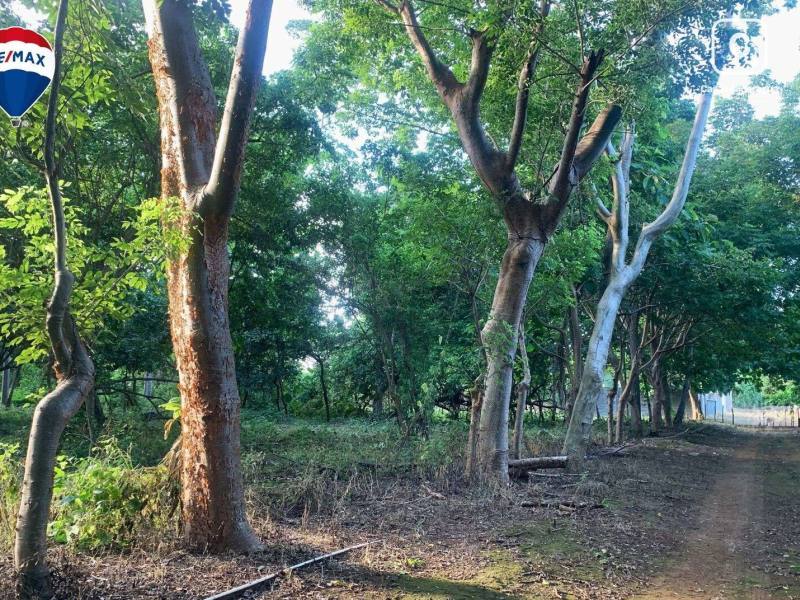 Terreno en venta en Carretera Masaya, Managua – 5,240 m², US$ 172,500