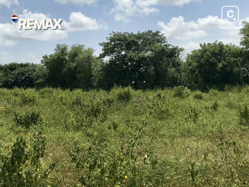 Local comercial en venta en Nindirí, Masaya – 10,390 varas²