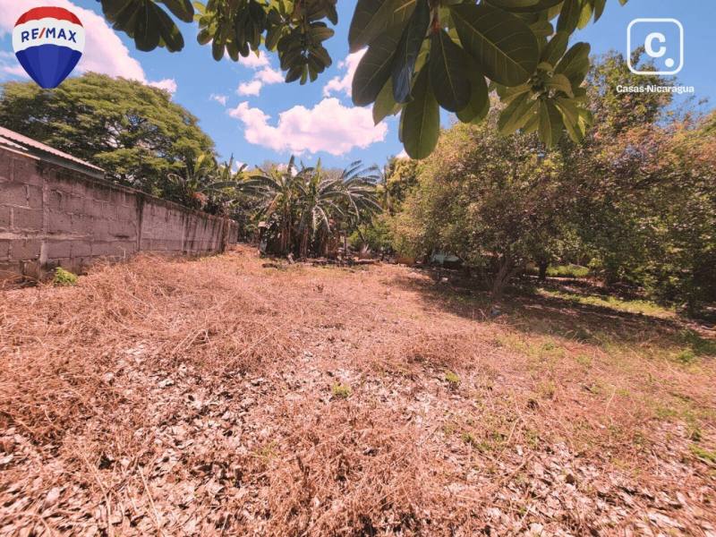 Terreno en venta en Colonia Managua, Managua – 704 m²