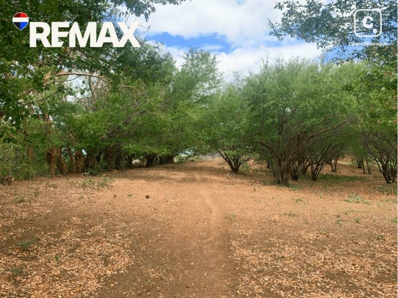 Terreno en venta en Villa Fontana, Managua – 60,000 varas²