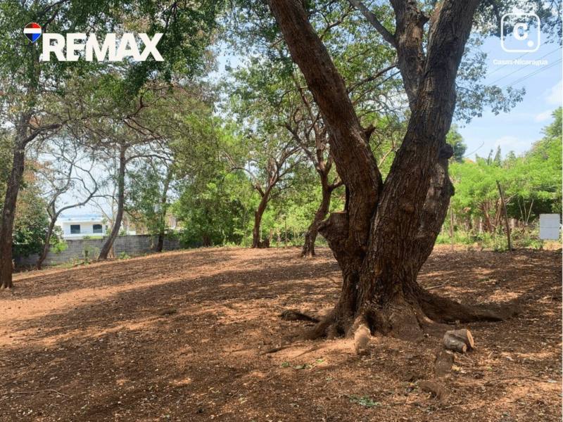 Local comercial en venta en Carretera Masaya, Managua – 699 varas²