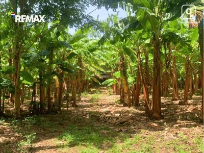 Finca en venta en Isla de Ometepe, Rivas – 20 m²
