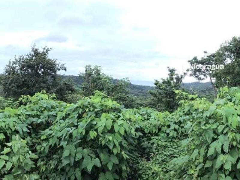Terreno en venta en Tola, Rivas – 89,030 m²