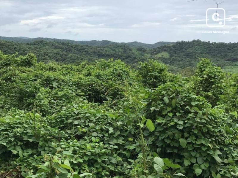Terreno en venta en Tola, Rivas – 89,030 m²