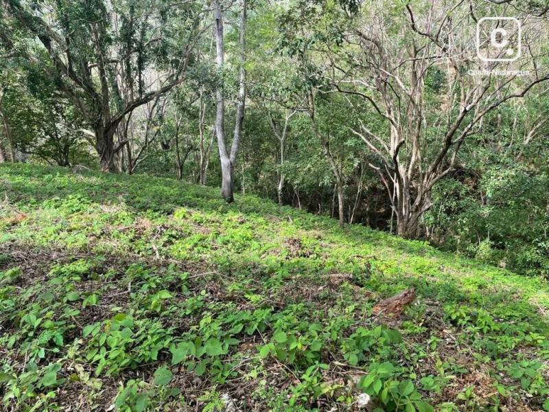 Terreno en venta en San Juan del Sur, Rivas – 3,868 m²