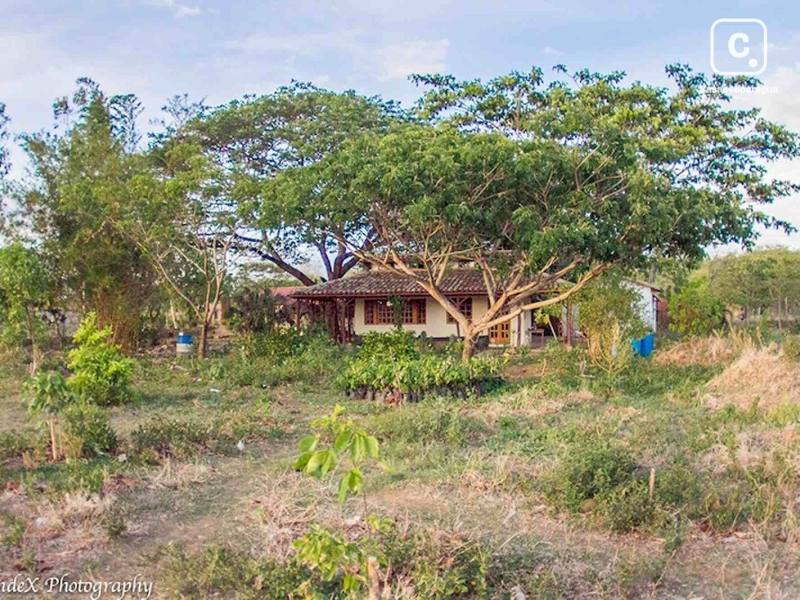 Terreno en venta en Rivas – 33,184 m²