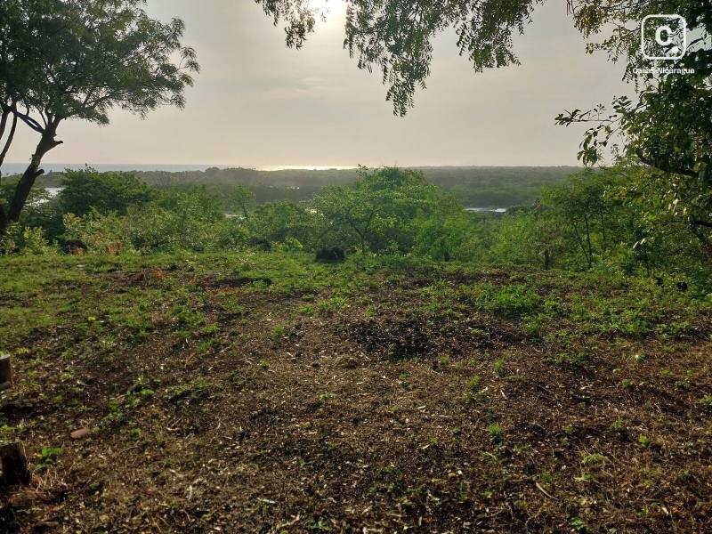 Terreno en venta en León – 678 varas²