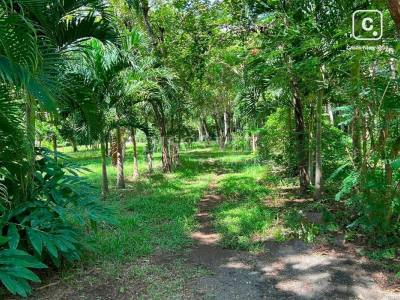 Finca en venta en Villa el Carmen, Managua – 130,000 varas²