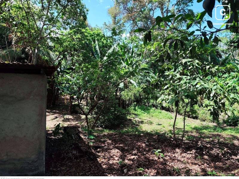Terreno en venta en Masaya