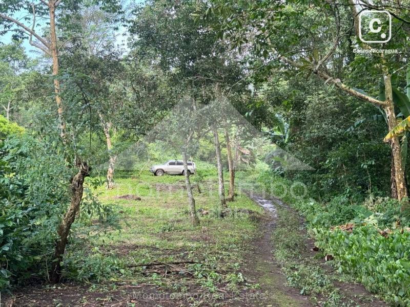 Finca en venta en San Marcos, Carazo – 150,000 varas²