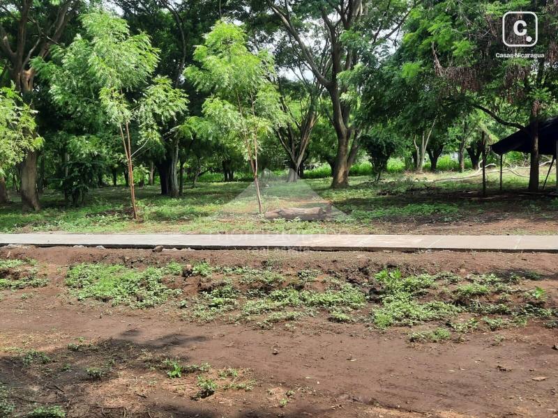 Terreno en venta en Sábana Grande, Managua – 583 varas²