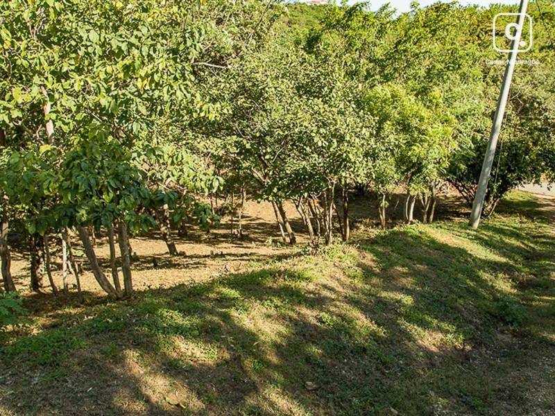 Terreno en venta en Tola, Rivas – 3,746 varas²