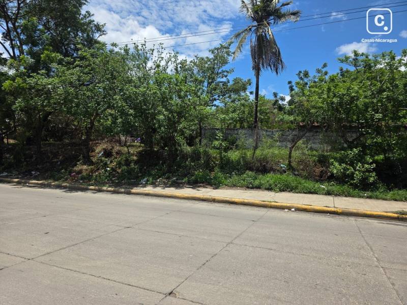 Casa en alquiler en Managua – 1,253 varas²