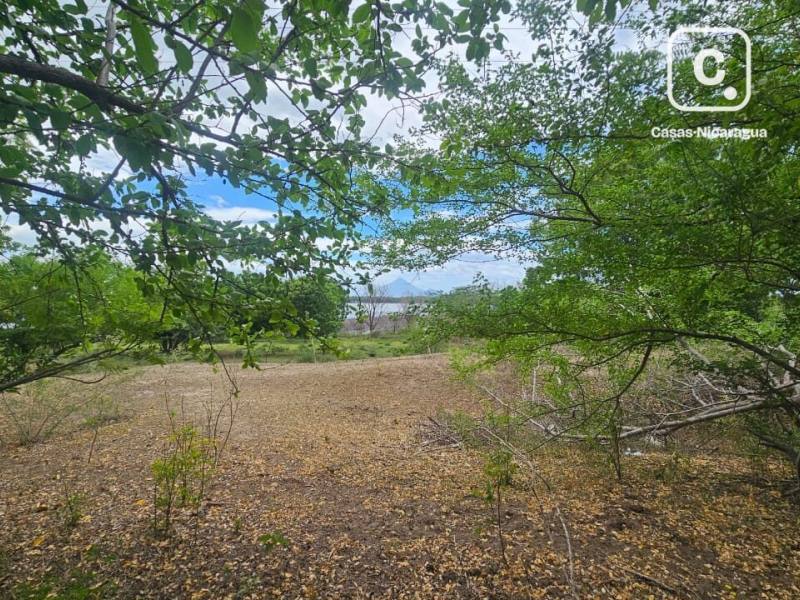 Finca en venta en Carretera Nueva León, Managua – 533,672 varas²
