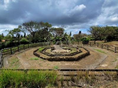 Venta de Finca en Carretera Sur