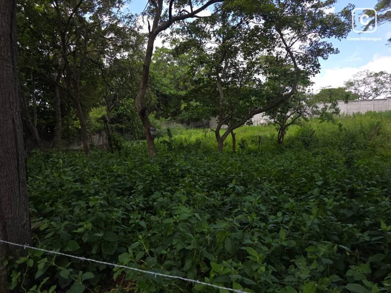 Finca en venta en Carretera Sur, Managua – 953 varas²
