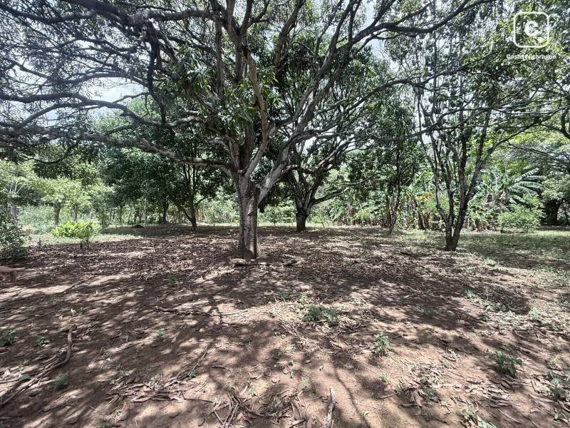 Finca en venta en Masaya – 3,520 varas²
