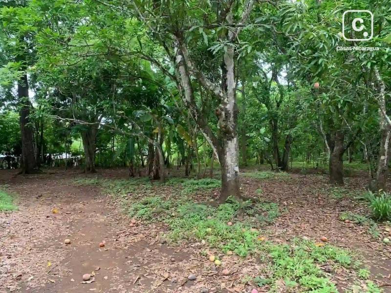 Finca en venta en Granada – 5,734 varas²