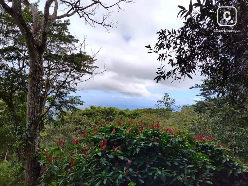 Finca en venta en Granada – 10,078 varas²
