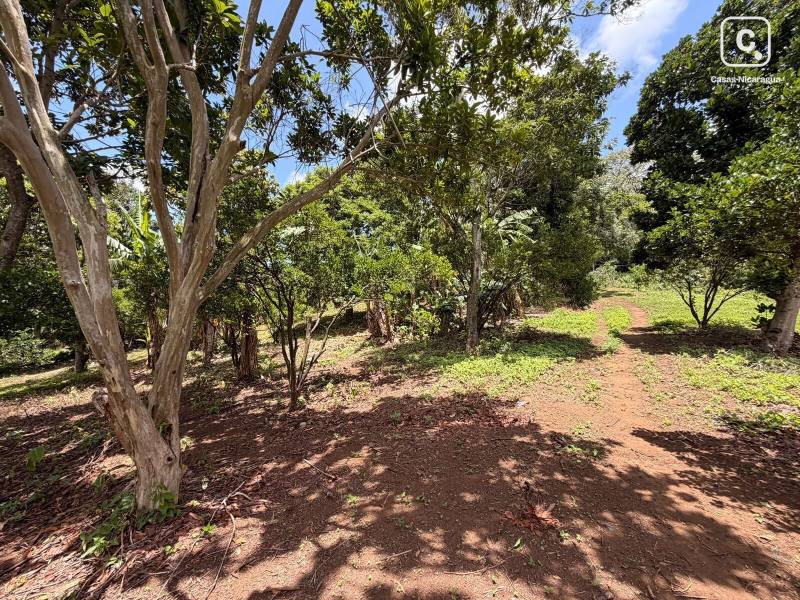 Terreno en venta en San Marcos, Carazo – 48,970 varas²