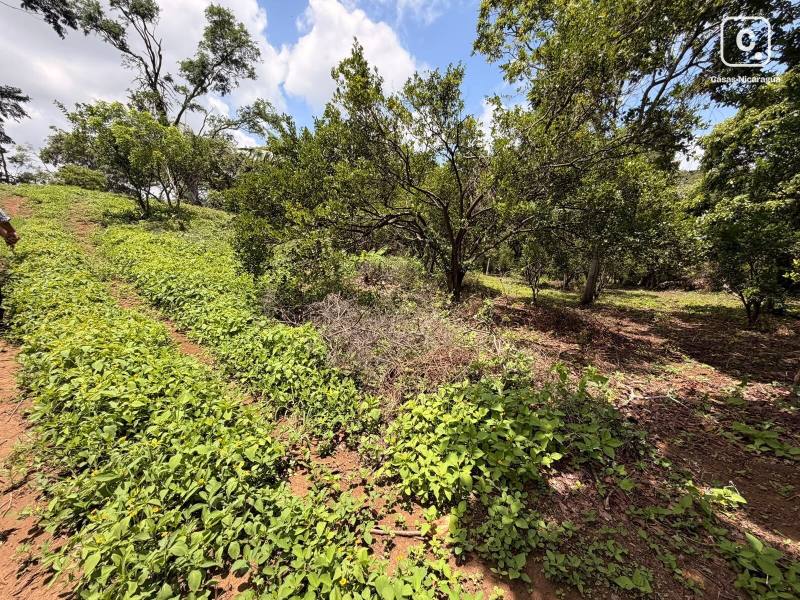 Terreno en venta en San Marcos, Carazo – 48,970 varas²
