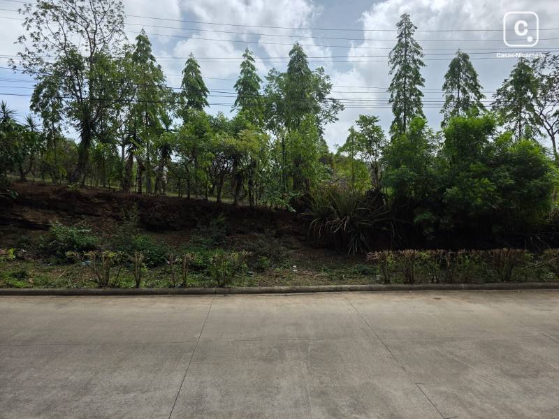 Finca en venta en Santo Domingo, Managua – 5,045 varas²