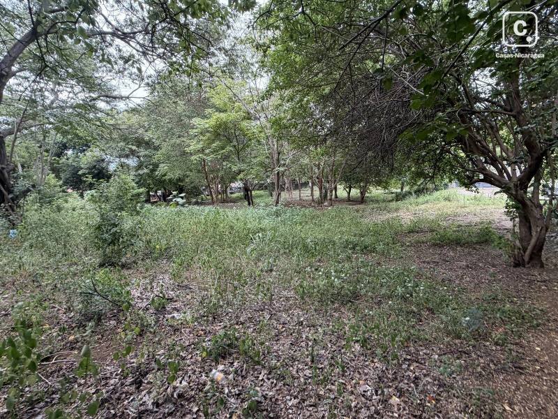 Local comercial en venta en Jocote Dulce, Managua – 5,045 varas²