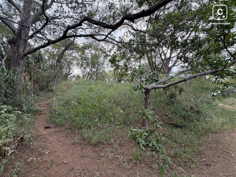 Local comercial en venta en Jocote Dulce, Managua – 5,045 varas²
