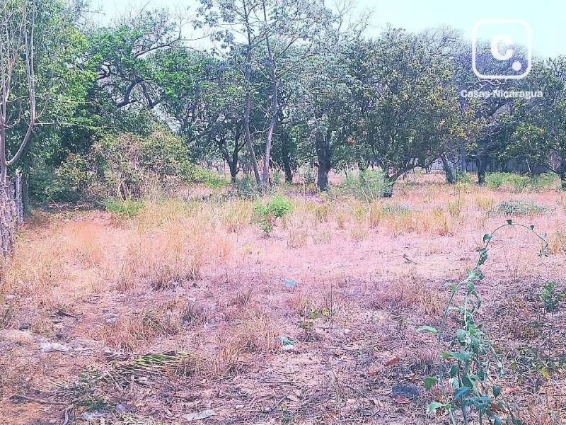 Bodega en venta en Nindirí, Masaya – 5,092 varas²