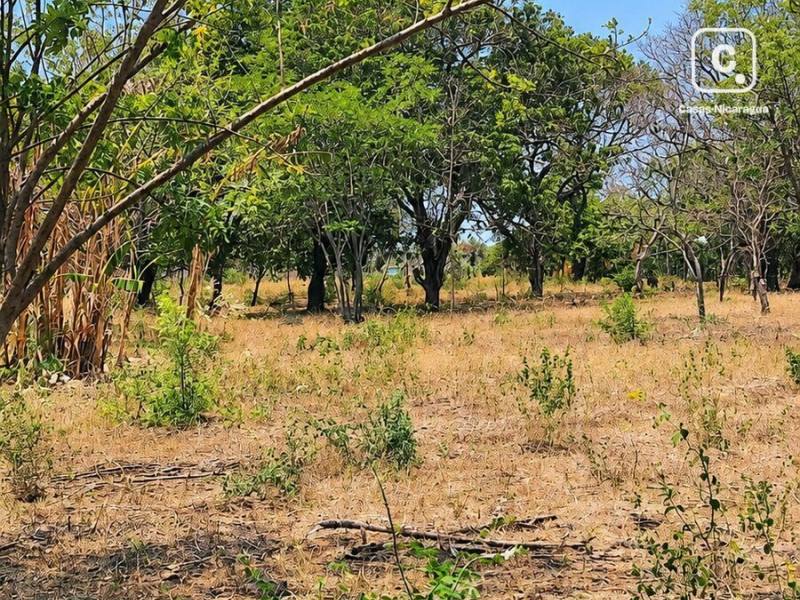 Terreno en venta en Nindirí, Masaya – 5,092 varas²