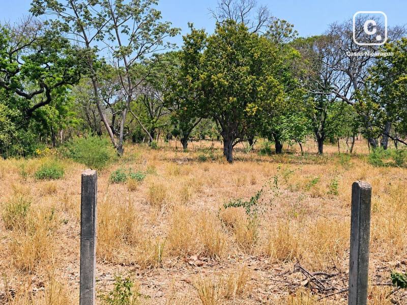 Terreno en venta en Nindirí, Masaya – 5,092 varas²