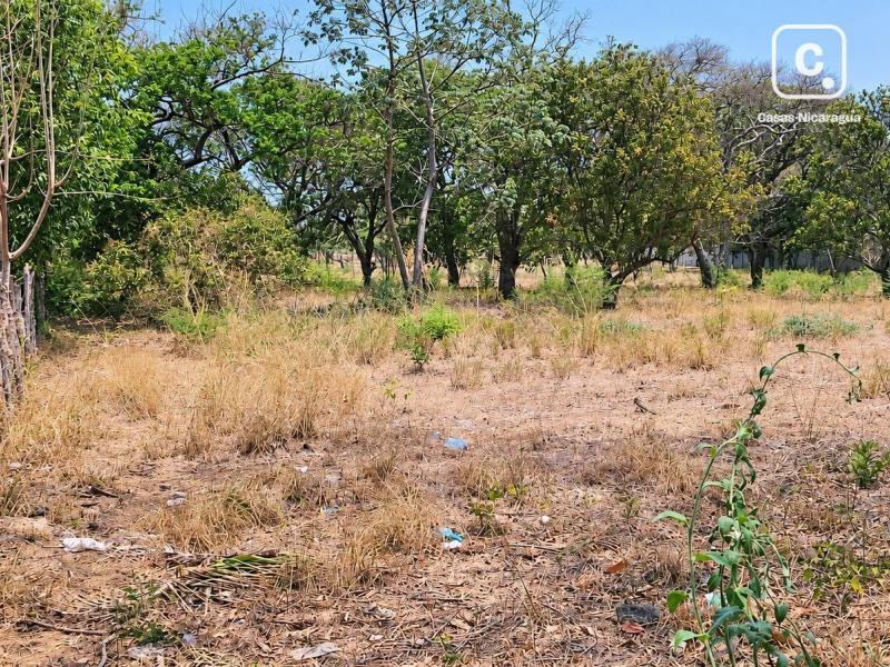 Terreno en venta en Nindirí, Masaya – 5,092 varas²