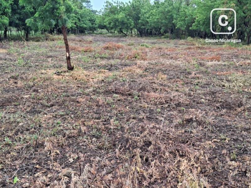 Finca en venta en Isla de Ometepe, Rivas – 14,130 varas²