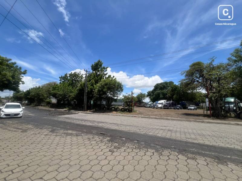 Local comercial en alquiler en Sábana Grande, Managua – 28,500 varas²