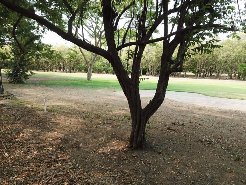 Terreno en venta en Tola, Rivas – 1,597 varas²