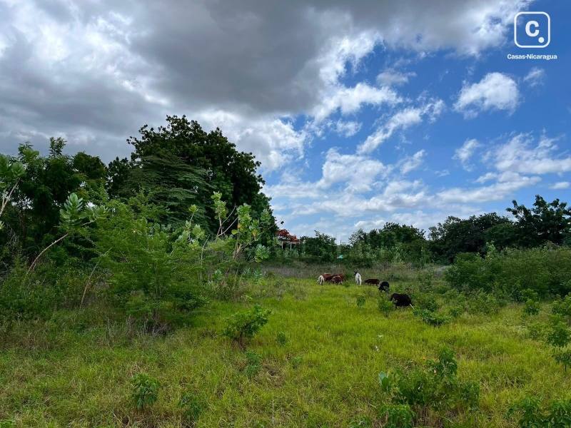 Terreno en venta en Las Jaguitas, Managua