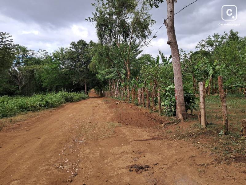 Local comercial en venta en Santo Domingo, Managua – 20,180 varas²