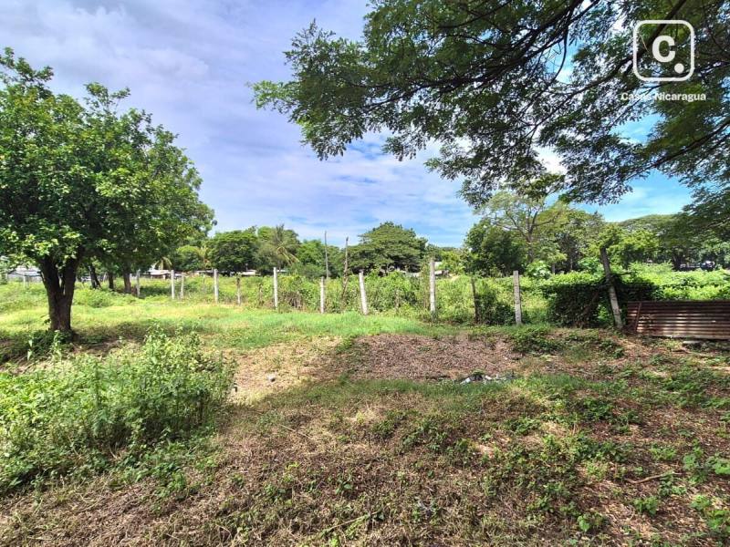 Local comercial en venta en Managua – 30,271 varas²
