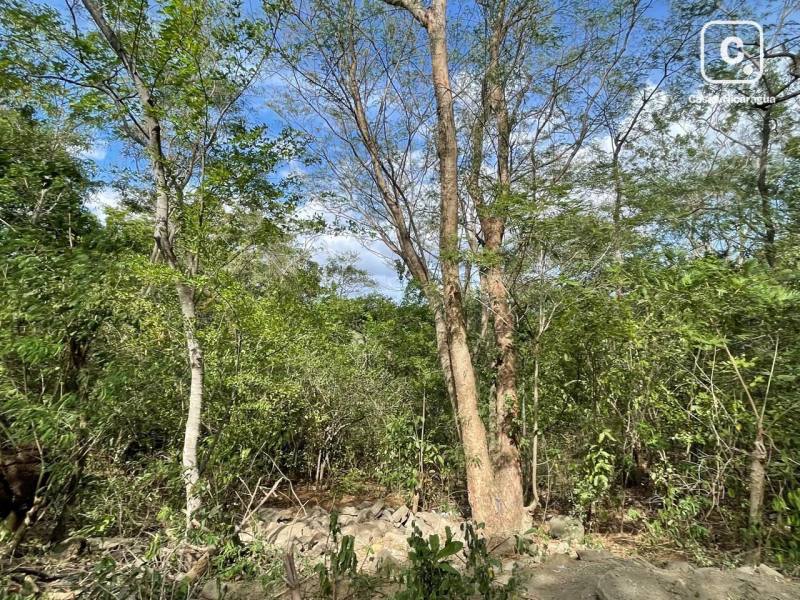 Finca en venta en Jocote Dulce, Managua – 2,235 varas²