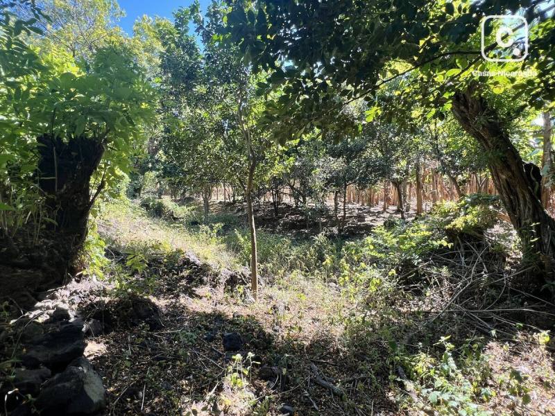 Finca en venta en Isla de Ometepe, Rivas – 80 m²