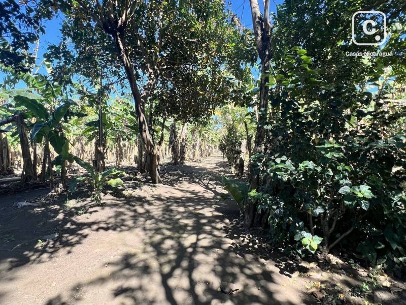 Finca en venta en Isla de Ometepe, Rivas – 80 m²