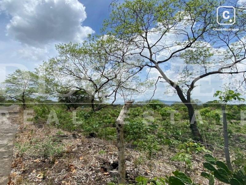 Terreno en venta en Veracruz, Managua – 579 varas²