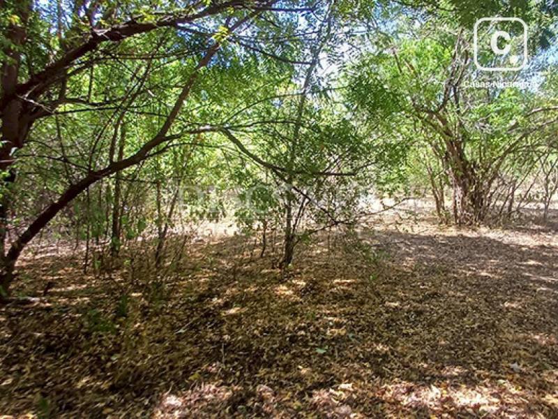 Terreno en venta en Mateare, Managua – 776,642 varas²