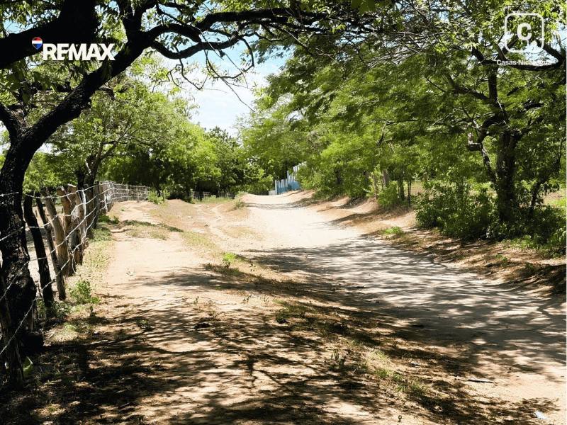 Finca en venta en Nagarote, León – 100,000 varas²