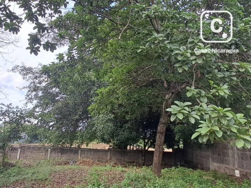 Finca en venta en Managua – 505 varas²