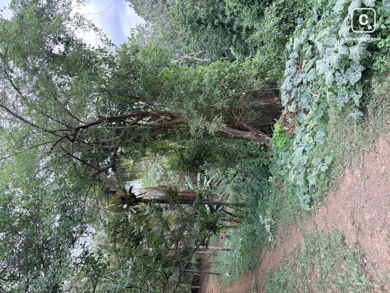 Terreno en venta en Managua – 115,929 varas²