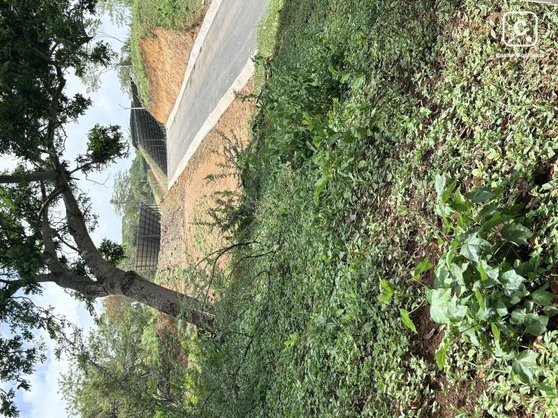 Terreno en venta en Managua – 115,929 varas²