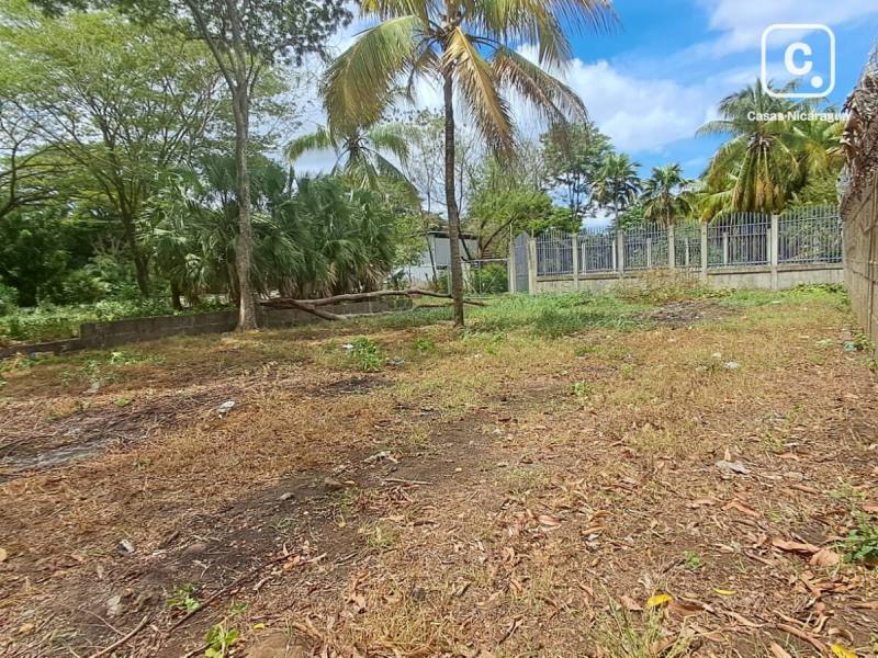 Finca en alquiler en Sábana Grande, Managua – 598 varas²