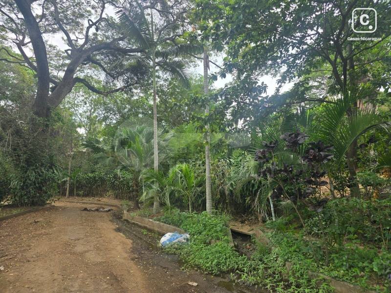 Terreno en venta en El Rodeo, Santo Domingo, Managua
