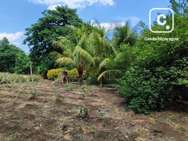 Terreno en venta en Managua – 5,043 varas²